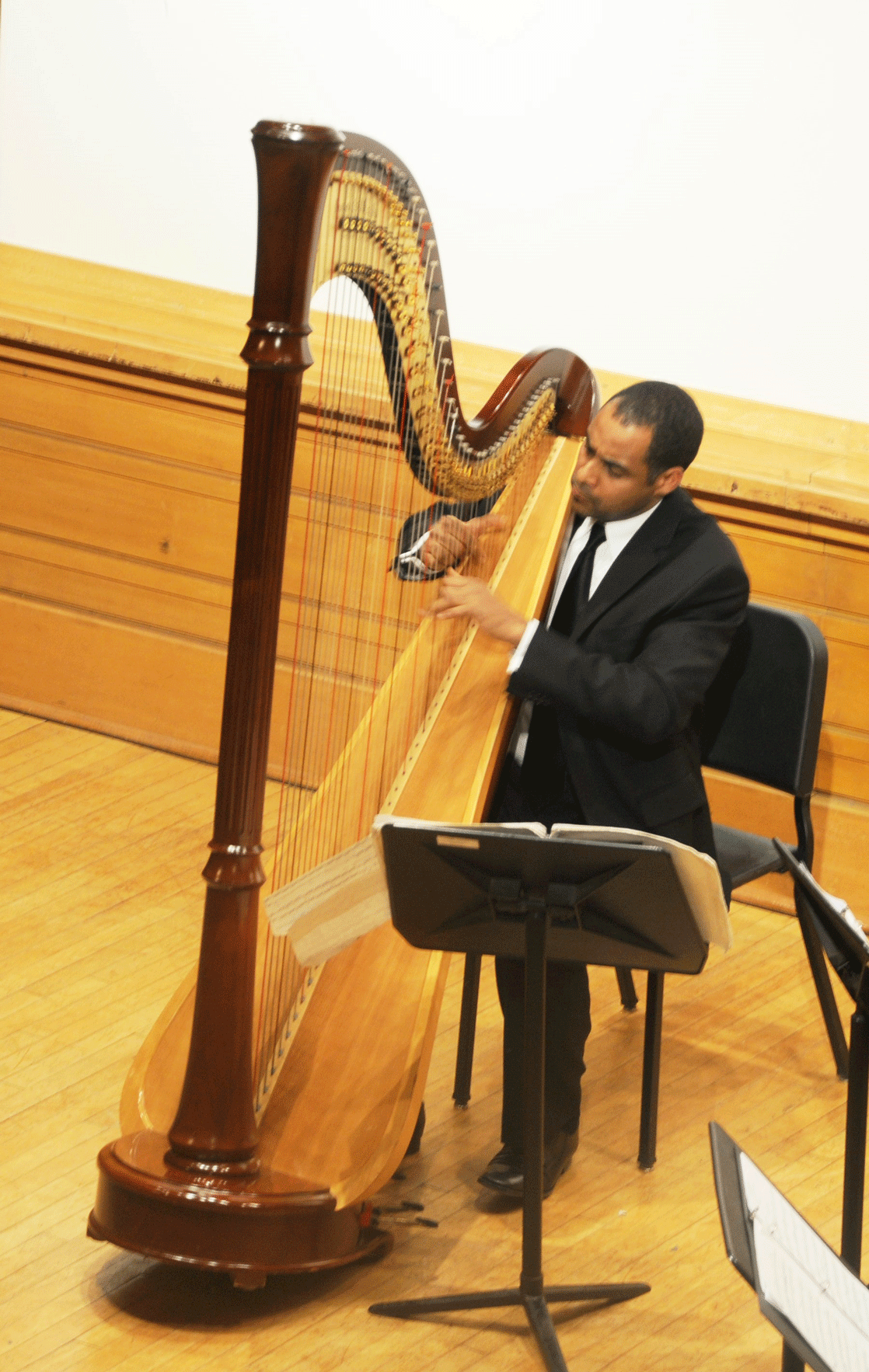 Harpist Adán Vásquez performing during Memorial Tribute Concert for Tilsia Brens on  December 17, 2010 at The City College of New York